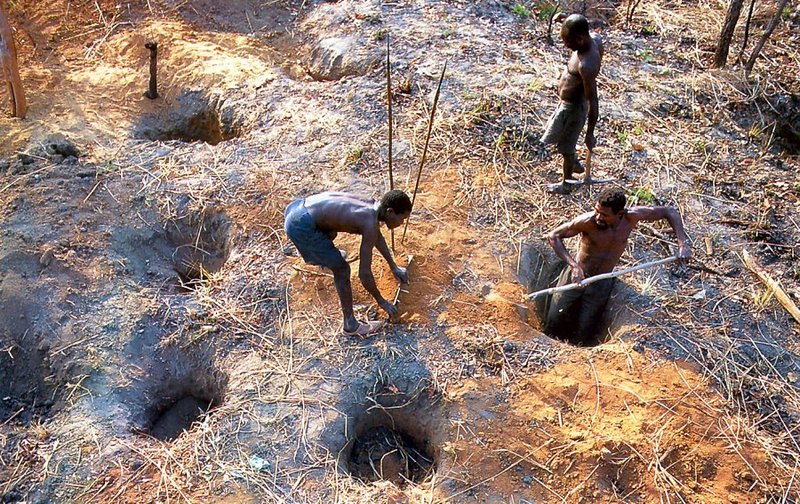 [achAT-scans] Chasing Pythons in Cameroon(1997); DISPLAY FULL IMAGE.