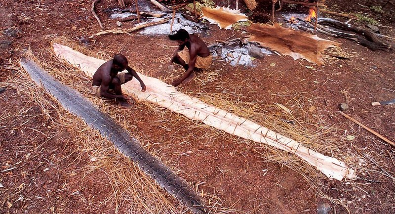 [achAT-scans] Chasing Pythons in Cameroon(1997); DISPLAY FULL IMAGE.