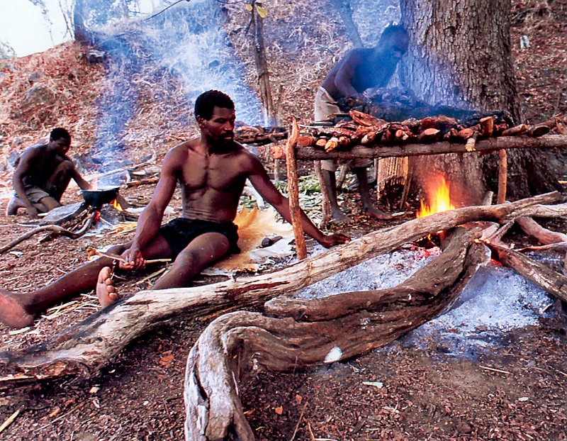 [achAT-scans] Chasing Pythons in Cameroon(1997); DISPLAY FULL IMAGE.