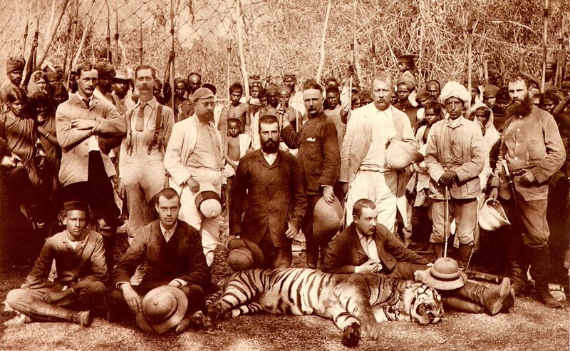 [achAT-scans] Tigers(1994); DISPLAY FULL IMAGE.