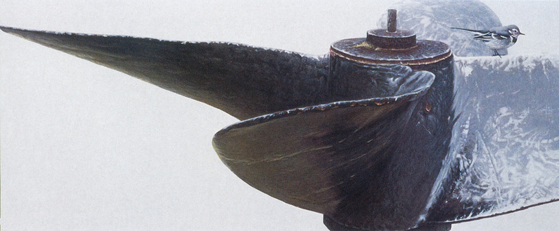 [FlowerChild scans - Wildlife-Birds] Painted by Karl Taylor, Propeller, Pied Wagtail; DISPLAY FULL IMAGE.