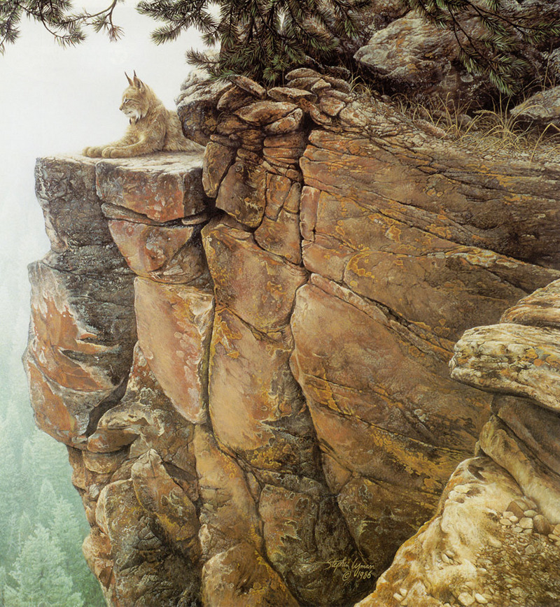 [FlowerChild scans] Painted by Stephen Lyman, Above the Forest (Canada Lynx); DISPLAY FULL IMAGE.