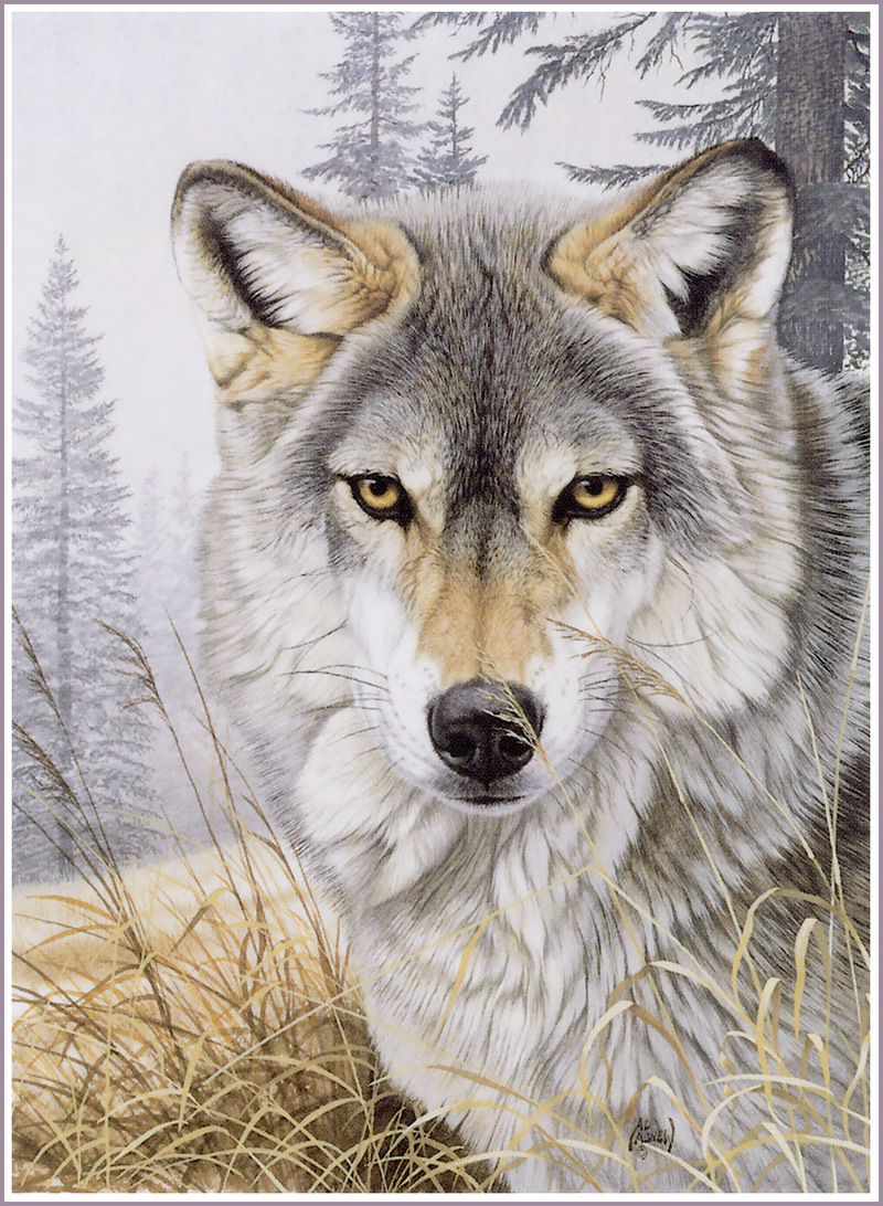 [FlowerChild scans] Painted by Al Agnew (Wolf); DISPLAY FULL IMAGE.