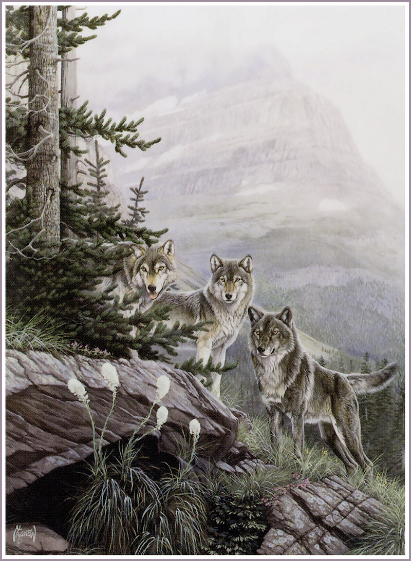 [FlowerChild scans] Painted by Al Agnew (Wolves); DISPLAY FULL IMAGE.