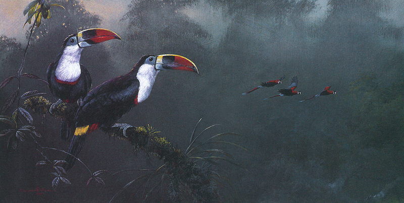 [FlowerChild scans] Painted by Gamini Ratnavira, Amazonian Dawn (Toucans); DISPLAY FULL IMAGE.