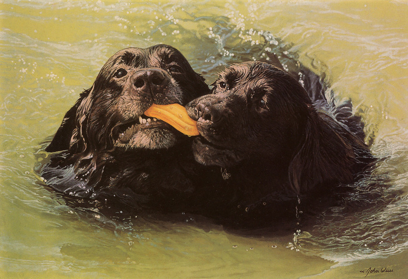 [FlowerChild scans] Painted by John Weise, Retrievers; DISPLAY FULL IMAGE.