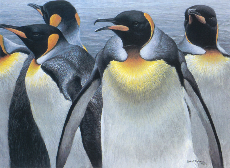 [FlowerChild scans] Painted by Robert Bateman, King Penguins; DISPLAY FULL IMAGE.