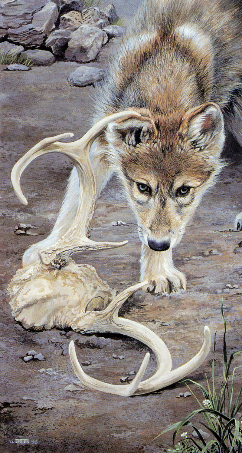 [FlowerChild scans] Painted by Trudy Estes, Puppy Love; DISPLAY FULL IMAGE.