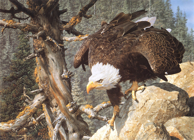 [FlowerChild scans] Painted by Carl Brenders, The Monarch is Alive; DISPLAY FULL IMAGE.