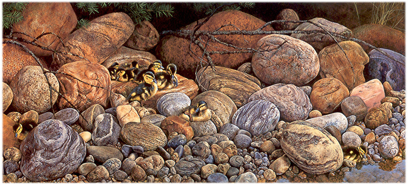 [CameoRose scan] Painted by Edward Aldrich, Streamside(Mallard Chicks); DISPLAY FULL IMAGE.