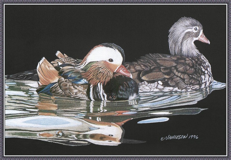 [CameoRose scan] Painted by Judith L. Jamieson, Mandarin Romance; DISPLAY FULL IMAGE.