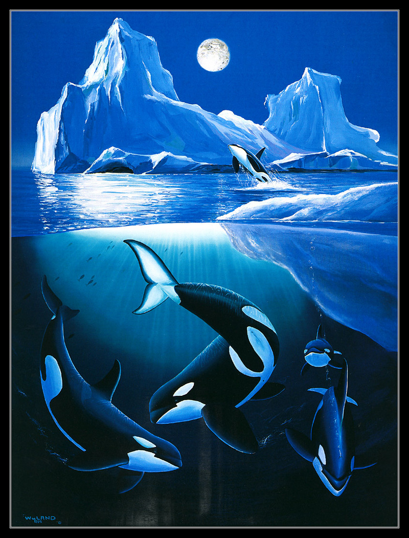 [CPerrien scan] Paintings of Robert Wyland - Marine Life 2000 Calendar; DISPLAY FULL IMAGE.