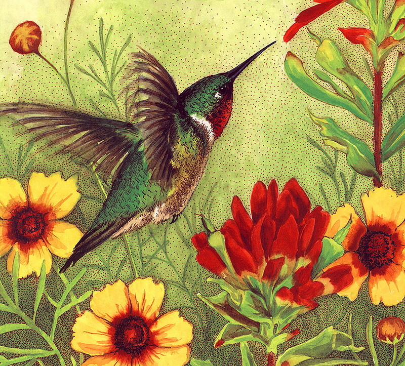 [LRS Art Medley] Claudia Nice, Hummingbird; DISPLAY FULL IMAGE.