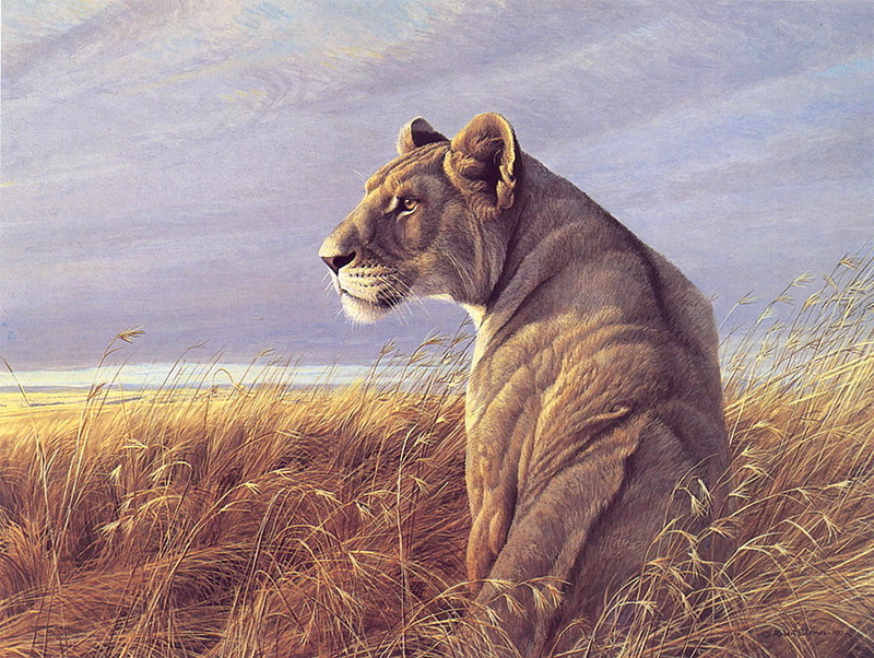 [LRS Art Medley] Robert Bateman, Lioness in Red Oats; DISPLAY FULL IMAGE.