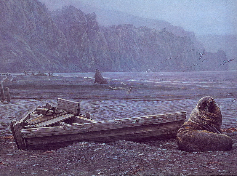 [LRS Art Medley] Robert Bateman, Fur Seals; DISPLAY FULL IMAGE.