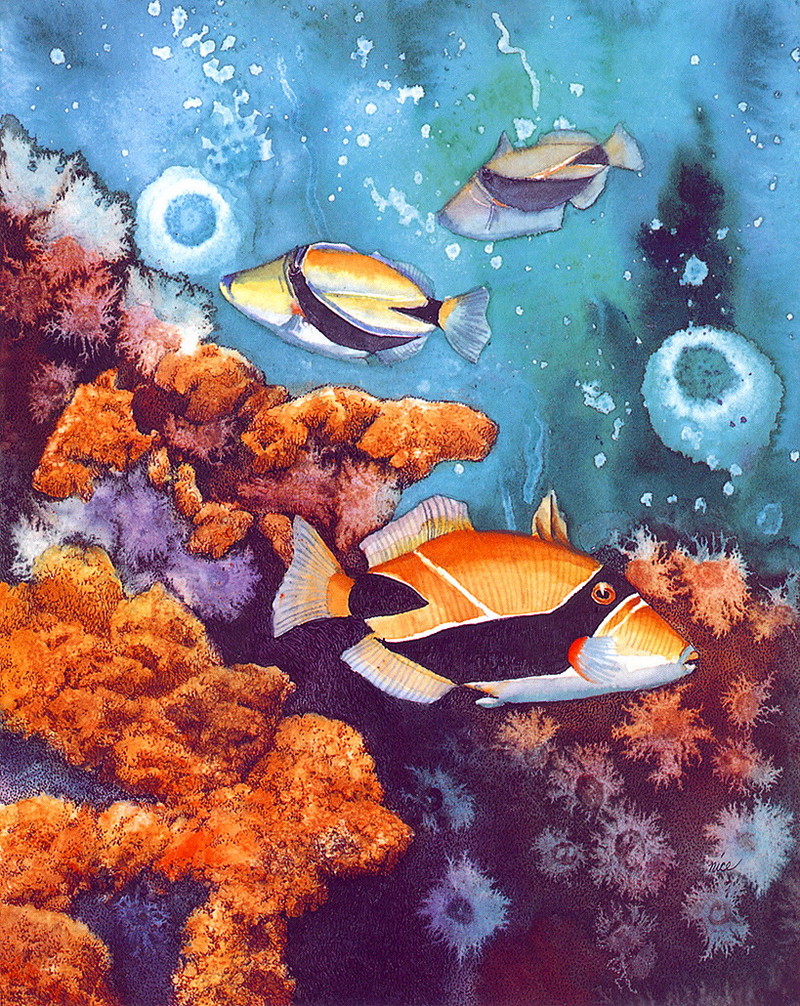 [LRS Art Medley] Claudia Nice, Triggerfish; DISPLAY FULL IMAGE.