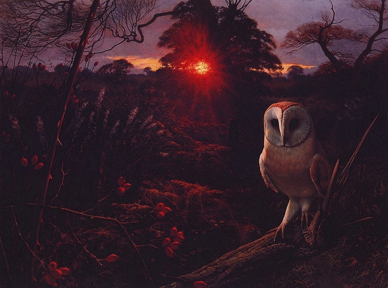 [LRS Art Medley] Raymond Booth, Barn Owl On A Winter Eve; DISPLAY FULL IMAGE.