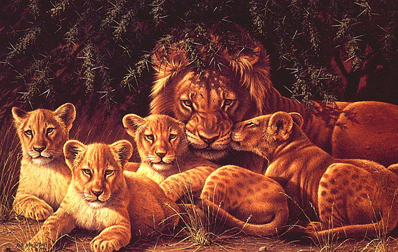[LRS Art Medley] Rob MacIntosh, Monarch's Pride; DISPLAY FULL IMAGE.
