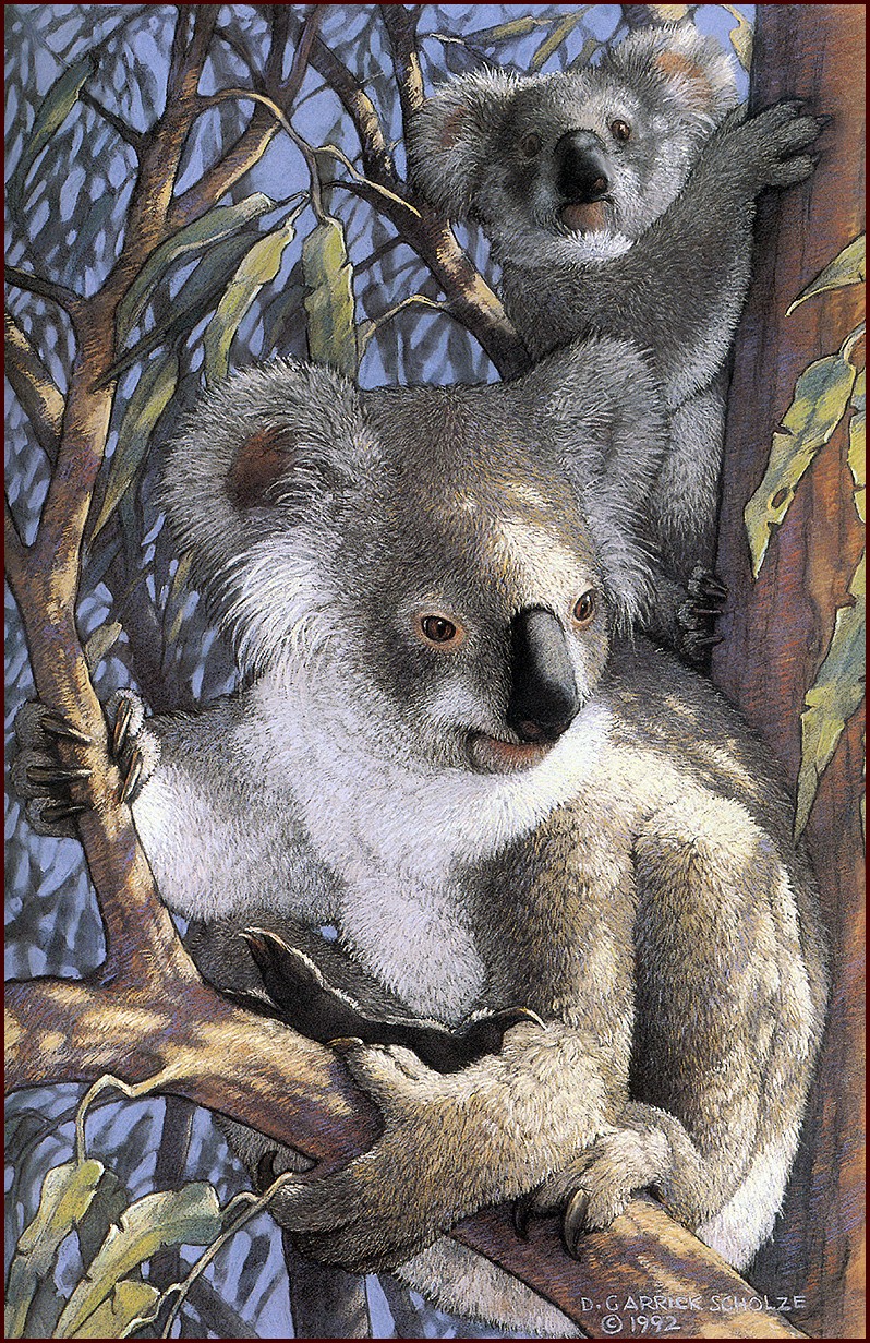 [LRS Art Medley] D. Garrick Scholze, Out on a Limb; DISPLAY FULL IMAGE.