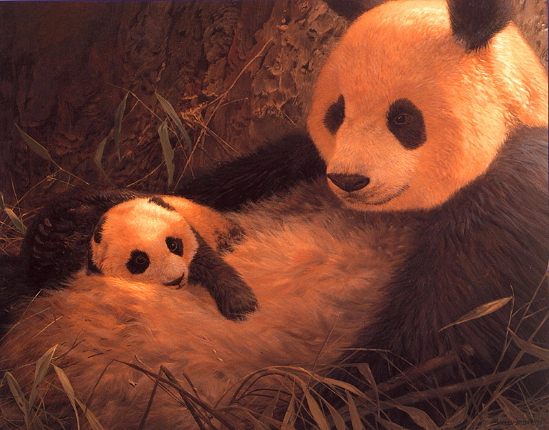 [LRS Art Medley] John Seerey-Lester, Giant Panda With Young; DISPLAY FULL IMAGE.