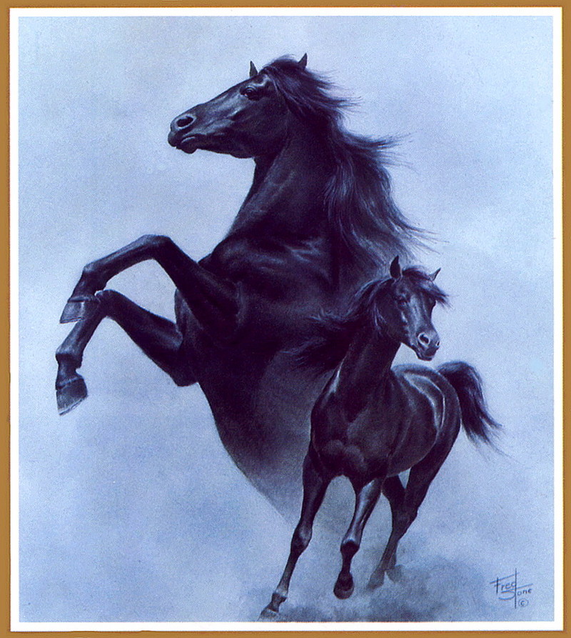 [LRS Art Medley] Fred Stone, Black Stallion; DISPLAY FULL IMAGE.