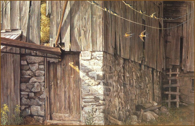 [LRS Animals In Art] Robert Bateman, Barn Swallows in August; DISPLAY FULL IMAGE.
