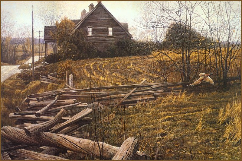 [LRS Animals In Art] Robert Bateman, Pheasants at Dusk; DISPLAY FULL IMAGE.