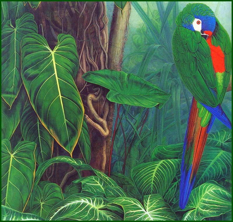 [LRS Animals In Art] Elizabeth Butter Worth, Giant Leaves & Illiger's Macaw; DISPLAY FULL IMAGE.
