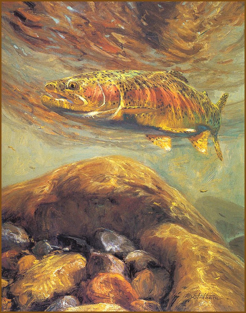 [LRS Animals In Art] Mike Stidham, Rising Rainbow Trout; DISPLAY FULL IMAGE.