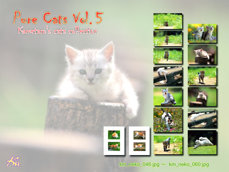 [Pure Cats Vol. 005] Index; DISPLAY FULL IMAGE.