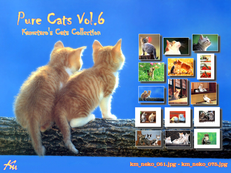 [Pure Cats Vol. 006] Index; DISPLAY FULL IMAGE.