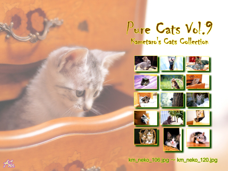 [Pure Cats Vol. 009] Index; DISPLAY FULL IMAGE.