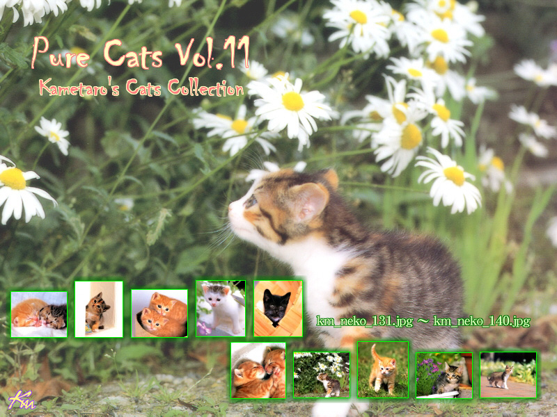 [Pure Cats Vol. 011] Index; DISPLAY FULL IMAGE.