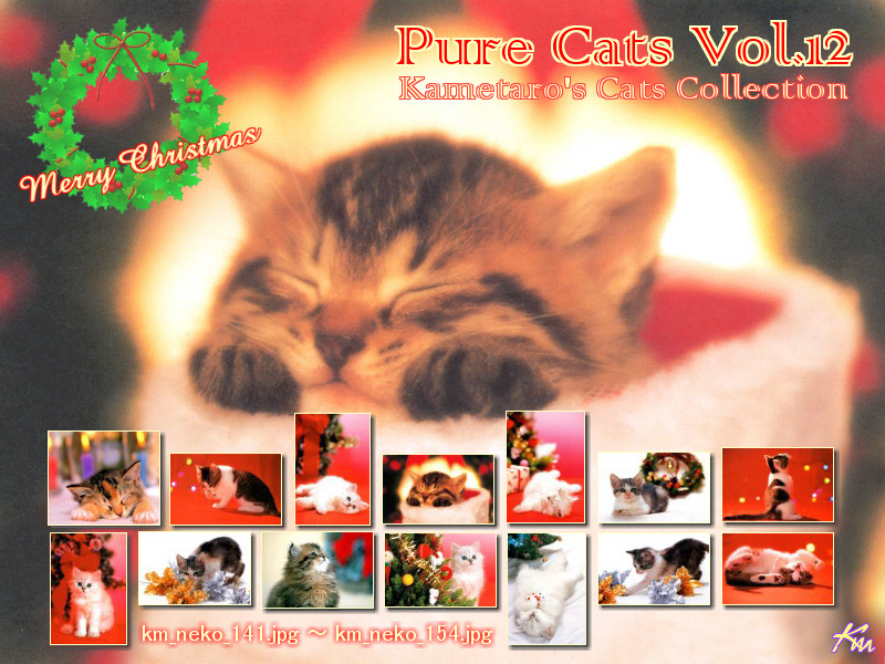 [Pure Cats Vol. 012] Index; DISPLAY FULL IMAGE.