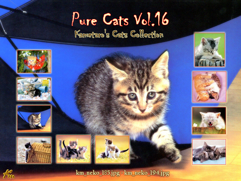 [Pure Cats Vol. 016] Index; DISPLAY FULL IMAGE.