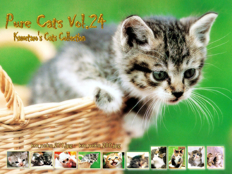 [Pure Cats Vol. 024] Index; DISPLAY FULL IMAGE.