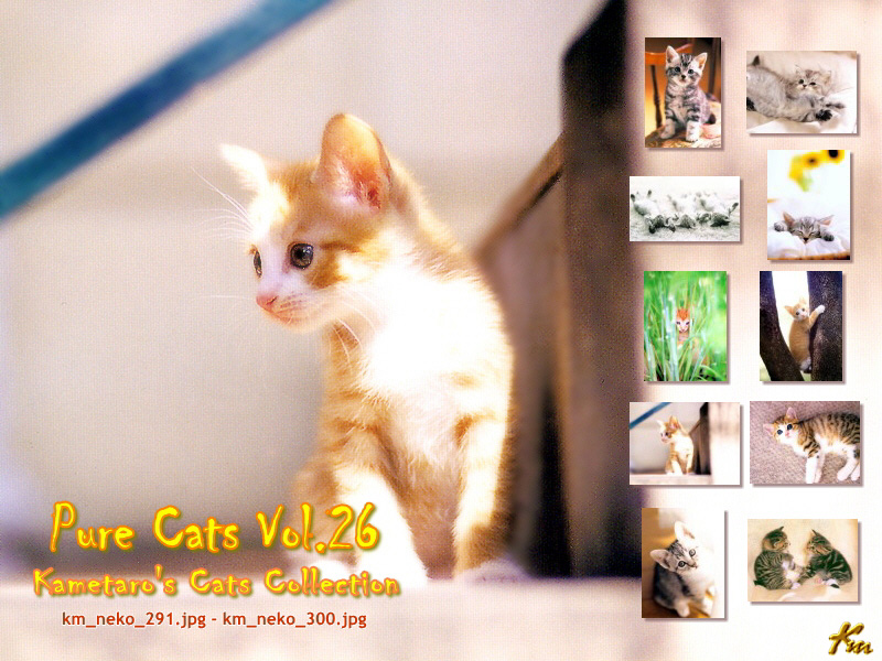 [Pure Cats Vol. 026] Index; DISPLAY FULL IMAGE.