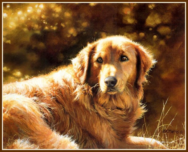 [Animal Art - Bonnie Marris] Retriever; DISPLAY FULL IMAGE.