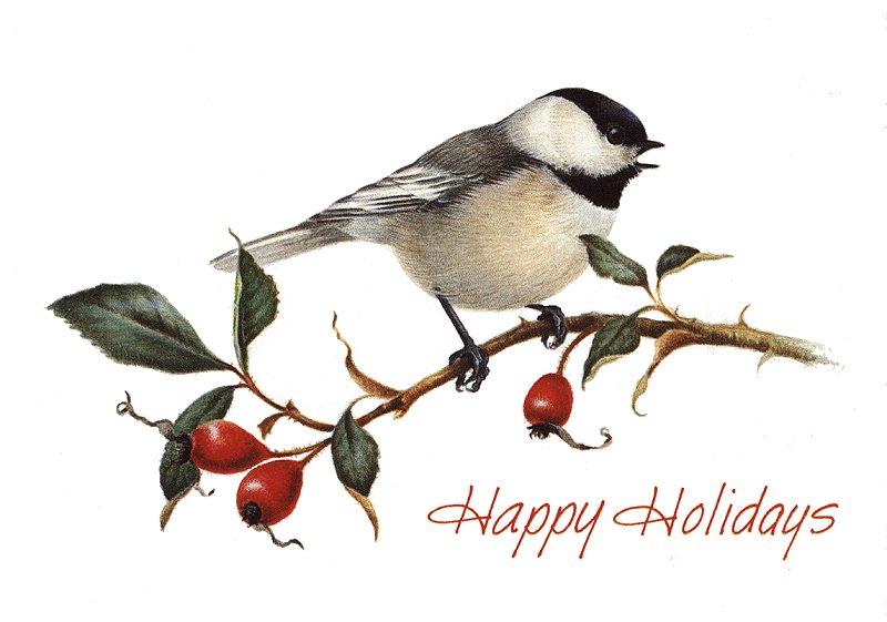 [Animal Art - Catherine McClung] Black-capped Chickadee; DISPLAY FULL IMAGE.
