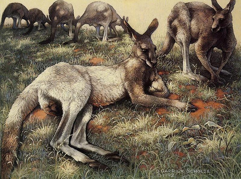 [Animal Art - Diane Garrick Scholze] Boomer And The Mob; DISPLAY FULL IMAGE.