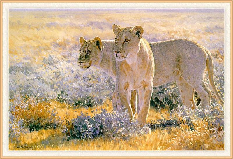 [Animal Art - Dino Paravano] On Alert; DISPLAY FULL IMAGE.