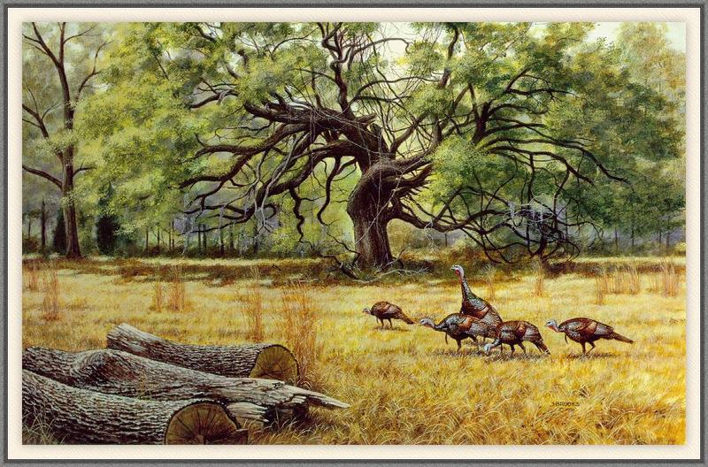 [Animal Art - James A. Brooks] Arundel Monarchs; DISPLAY FULL IMAGE.