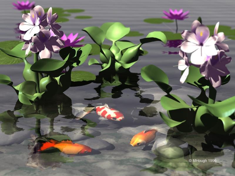 Goldfish (Carassius auratus auratus) {!--금붕어-->; DISPLAY FULL IMAGE.