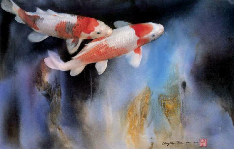 Koi (Cyprinus carpio) {!--비단잉어-->; DISPLAY FULL IMAGE.
