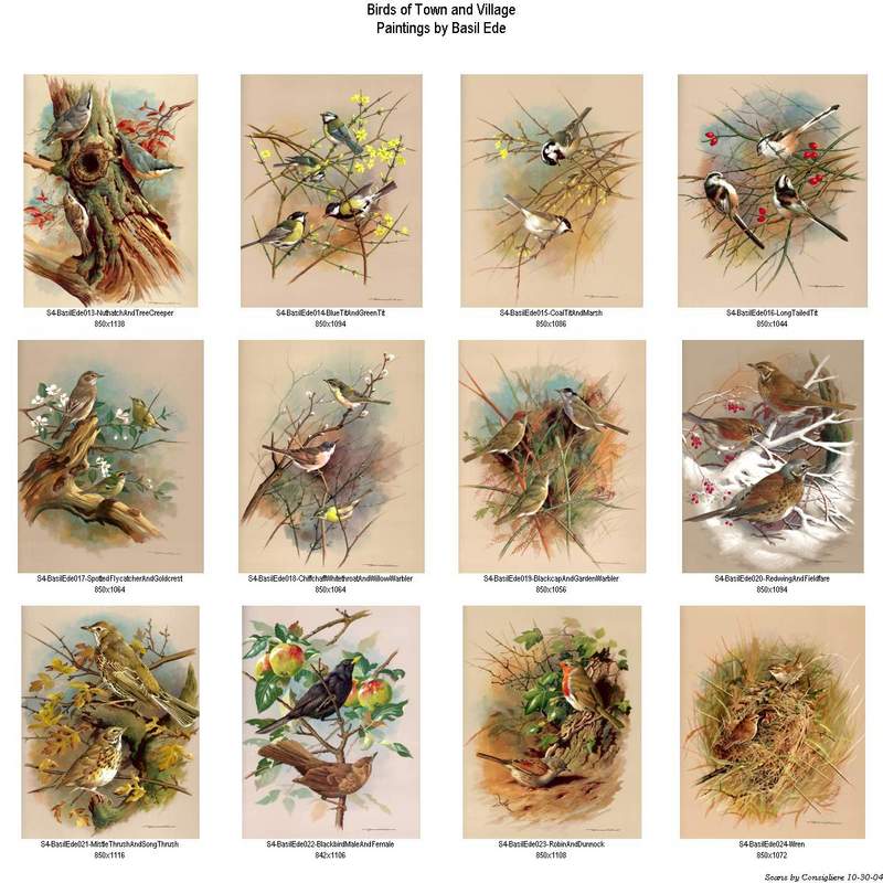 [Consigliere S4 - Basil Ede] Index 2; DISPLAY FULL IMAGE.
