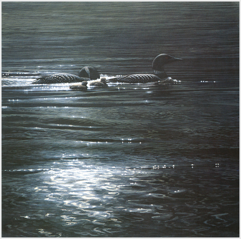 [LRS Animals In Art] lrsAA037 Seerey Lester John - Loon Light; DISPLAY FULL IMAGE.
