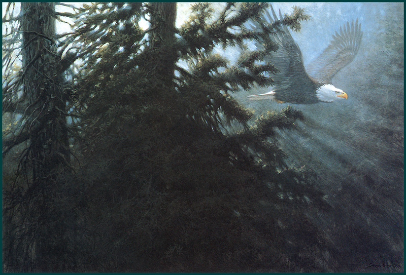 [LRS Animals In Art] lrsAA051 Seerey Lester John - Morning Glory Bald Eagle; DISPLAY FULL IMAGE.