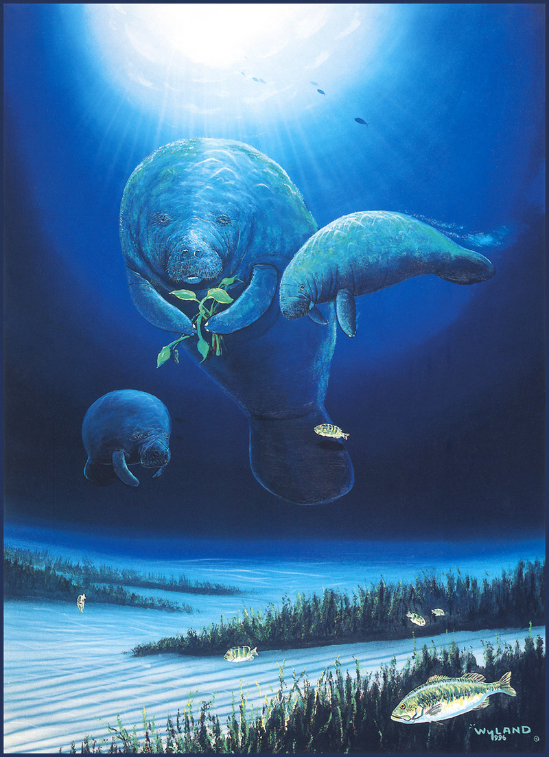 [LRS Animals In Art] lrsAA068 Wyland - Manatee Visit; DISPLAY FULL IMAGE.