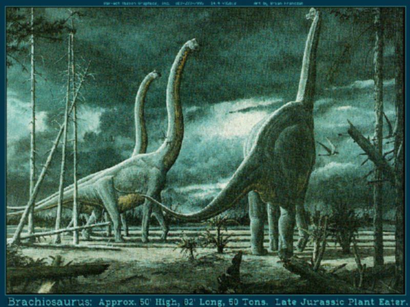 Brachiosaurus; DISPLAY FULL IMAGE.