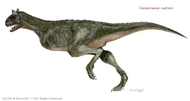 Carunotaurus sastrei; DISPLAY FULL IMAGE.